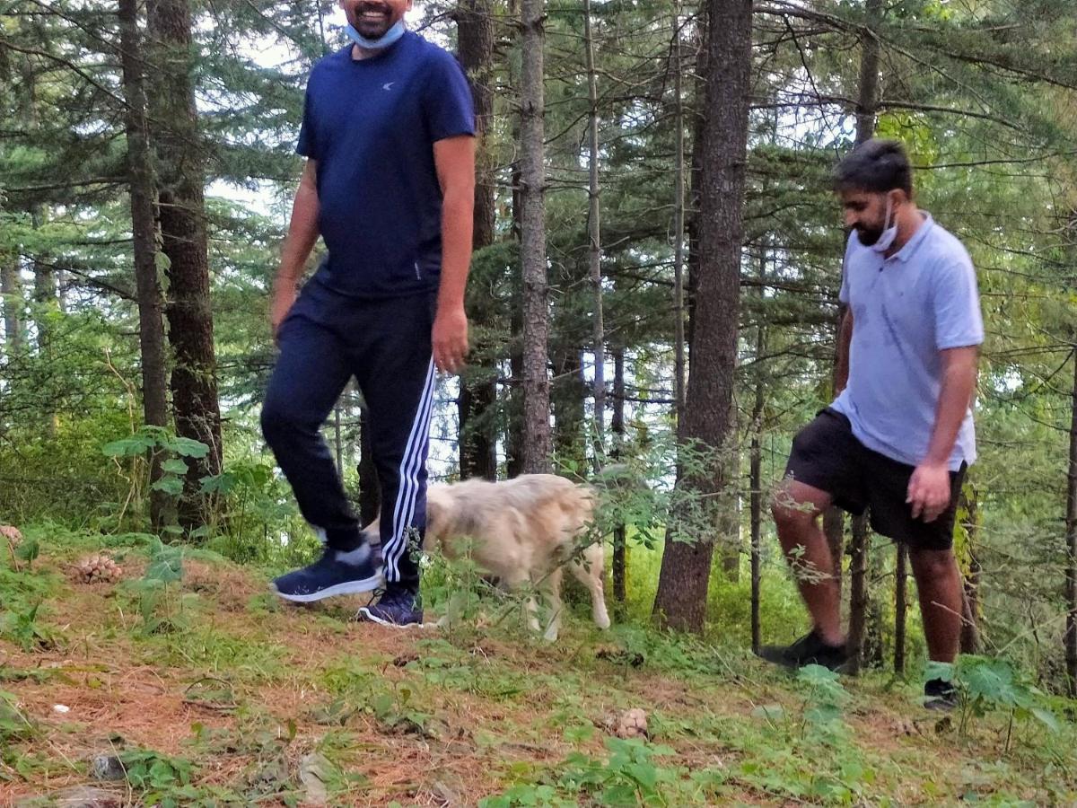 Neha Homestay شيملا المظهر الخارجي الصورة