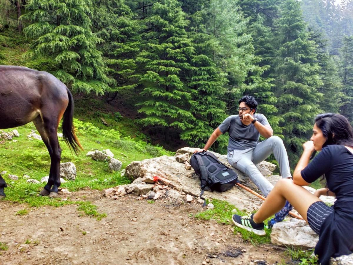 Neha Homestay شيملا المظهر الخارجي الصورة